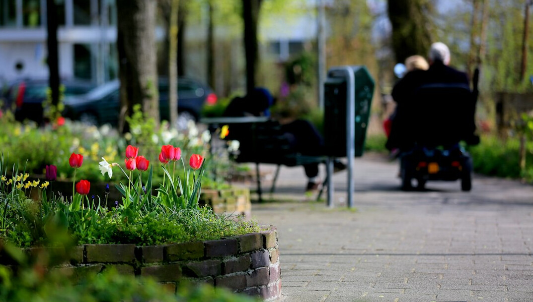 elderly residents in garden