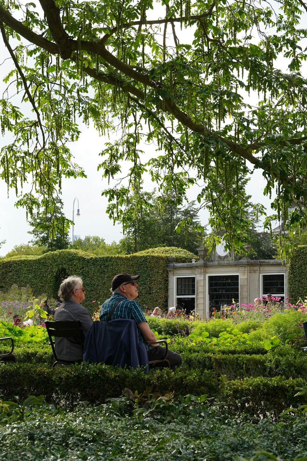 elderly friends chatting in garden