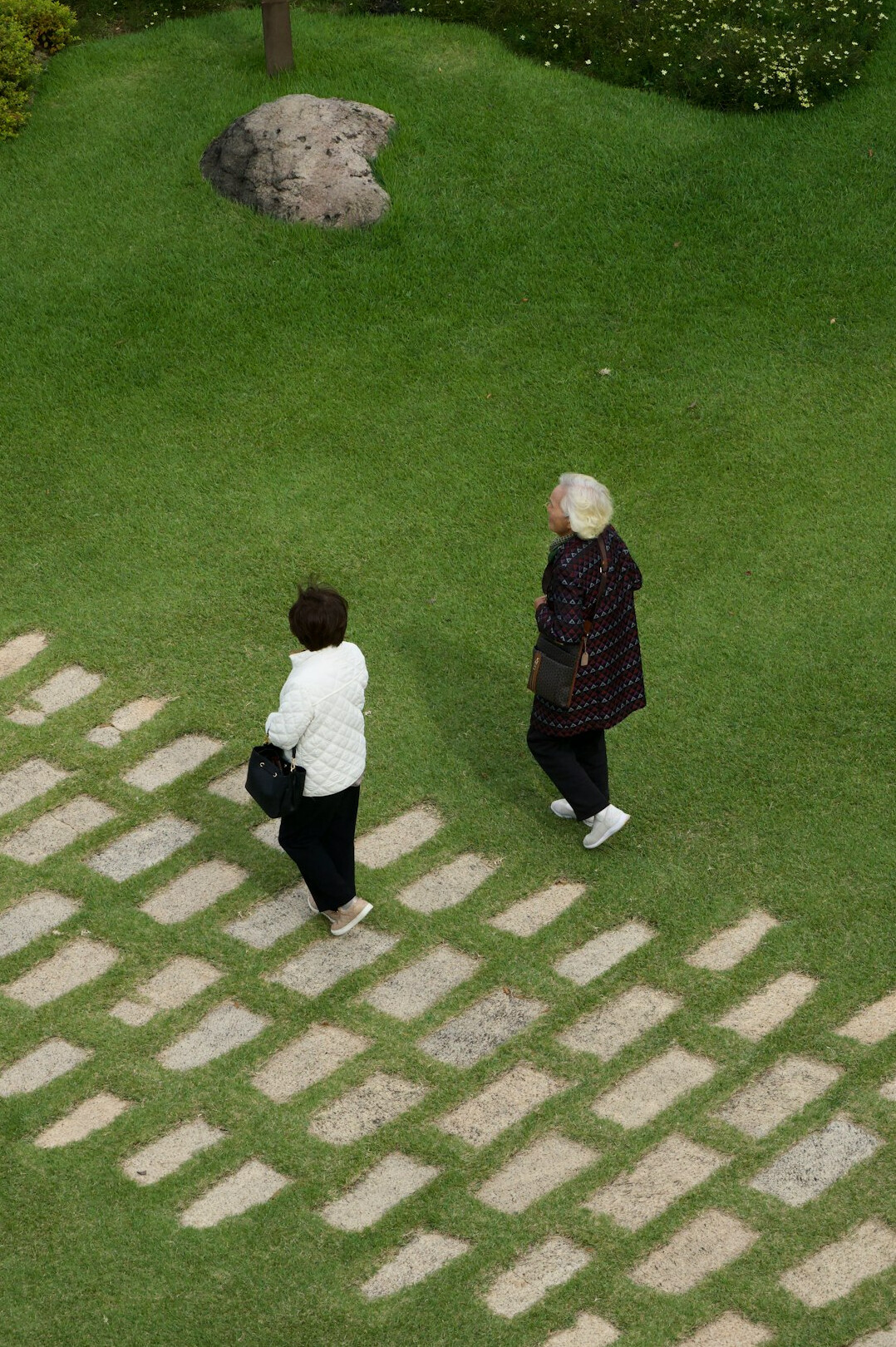 senior neighbors chatting in garden